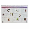 Art Of Aroma Dry Distillation Poster - SCAA
