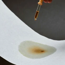 Sibarist Fast Specialty Coffee Filters -BARISTA WAREHOUSE Sales Sibarist Speciality Brewing Filters